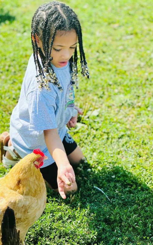 CDB532EC-5053-431C-BEFD-14B2720FB4E0